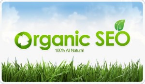 organic-search-engine-optimization-company